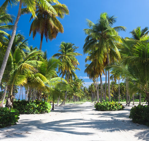 Zanzibāra