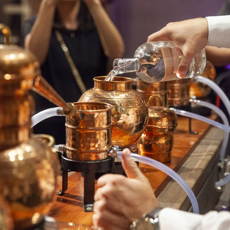 Gin Lab